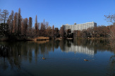 井の頭公園