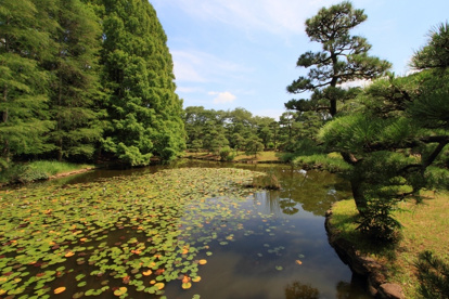 神代植物公園の画像2