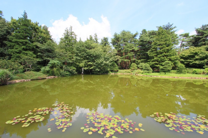 神代植物公園の画像3