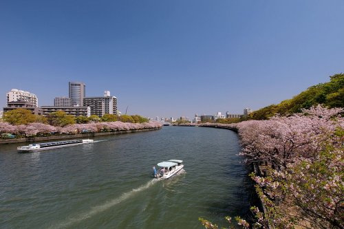 の画像