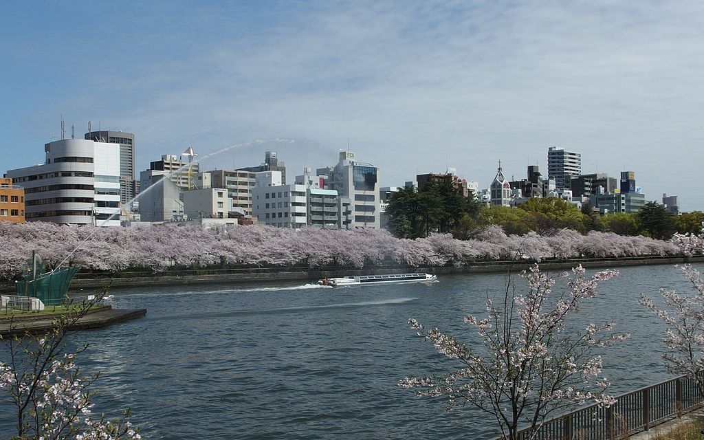 の画像