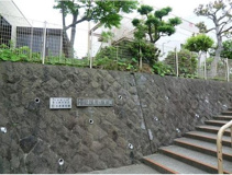 藤沢市立小糸保育園