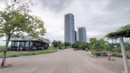 二子玉川公園の画像3