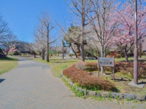 柏山公園