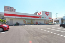 くすりのレディ広古新開店