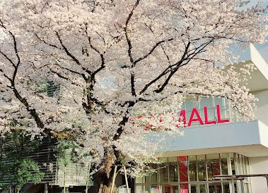 イオンモール 日の出の画像1