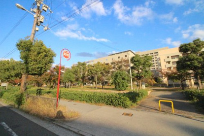 大阪急性期・総合医療センターの画像2