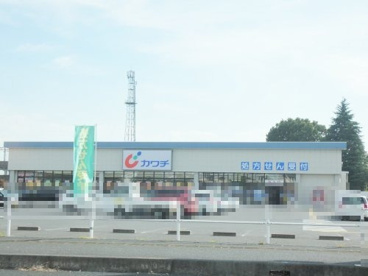 カワチ薬品 城内店の画像1