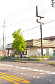 牛角の画像2