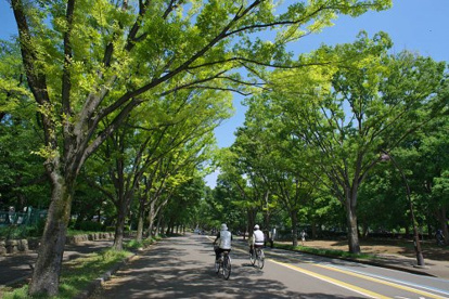 駒沢オリンピック公園の画像1
