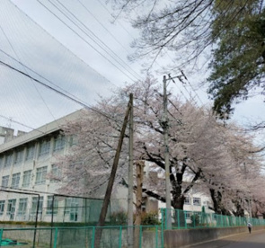 相模原市立東林中学校の画像1