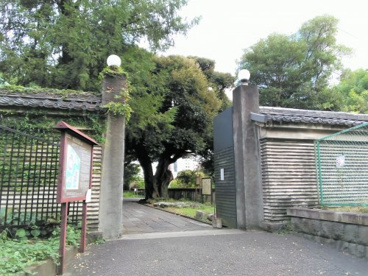 湯島聖堂の画像1
