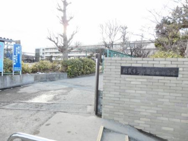 朝霞市立 朝霞第八小学校の画像1
