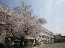 世田谷区立奥沢小学校