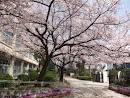 尼崎市立園田中学校の画像2