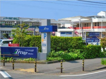 トレアージュ白旗