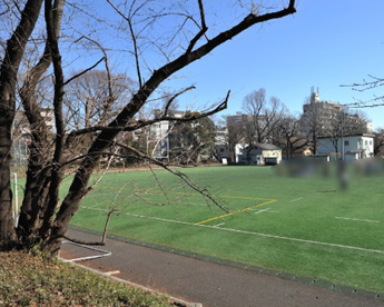 東京大学ラグビー場の画像1