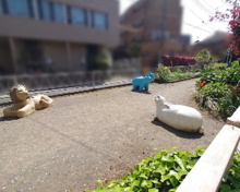 公園 呑川本流緑道