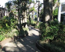 公園 八雲三丁目緑地