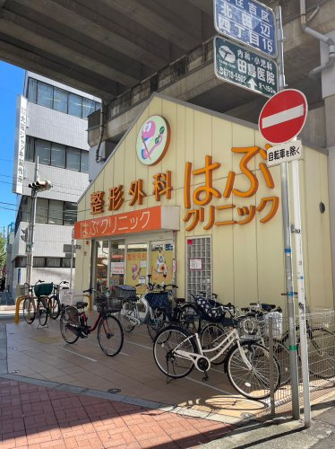 の画像