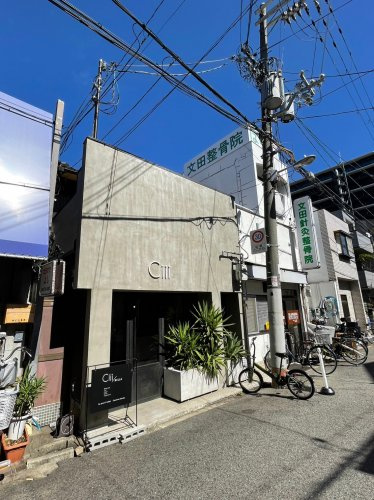 の画像
