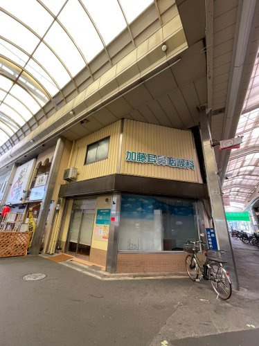 の画像