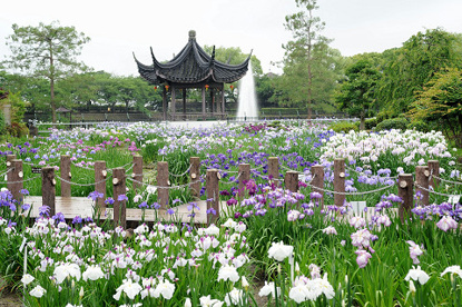 水月公園の画像1