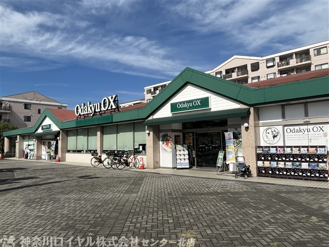 Odakyu OX 栗平店