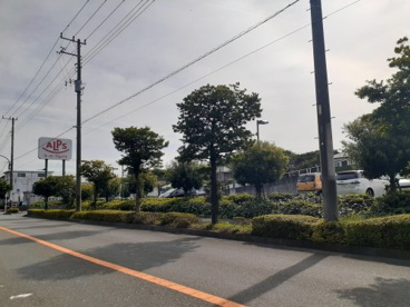 スーパALPSの画像1
