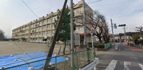の画像