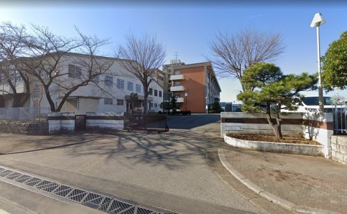 の画像