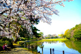 大宮公園
