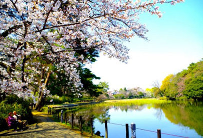 大宮公園の画像1