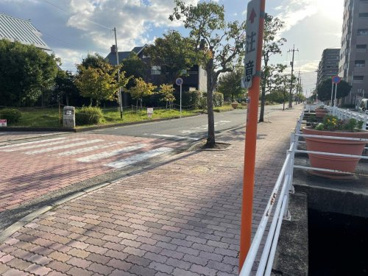 妹尾駅裏道の画像3