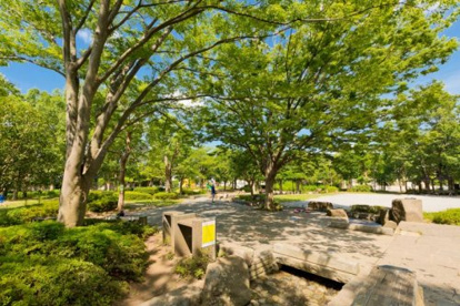 松芝公園の画像1