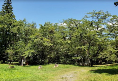 新府公園の画像1