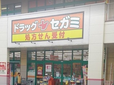 ドラッグセガミ上野芝楽市店の画像1