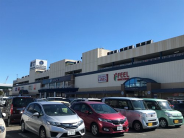 シャンピアポートの画像1