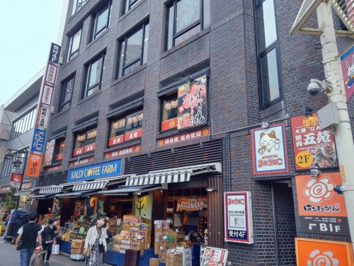 の画像