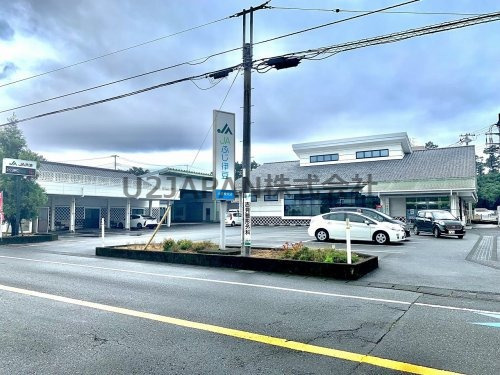 の画像