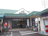 マルエツ 安行慈林店