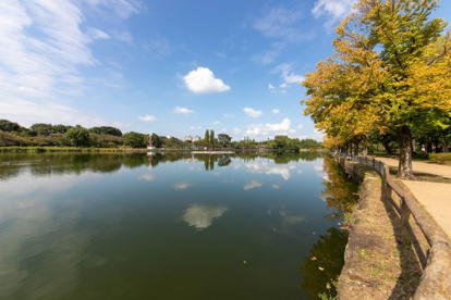 浮間公園の画像2