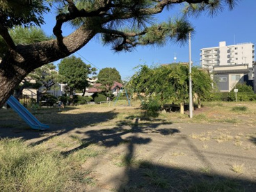 浜岳公園の画像1