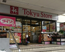 ディスカウントショップ ダイソー清水台東急ストア店