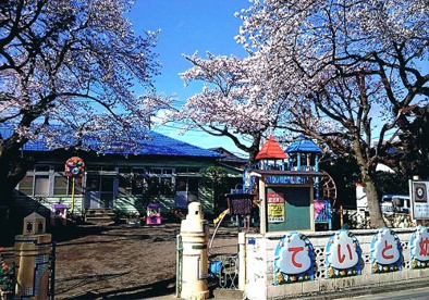 帝都幼稚園の画像1