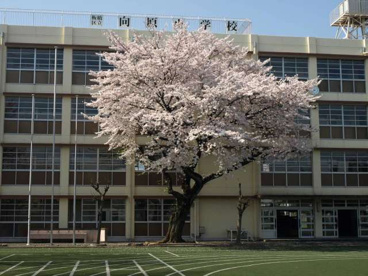 板橋区立向原小学校の画像1