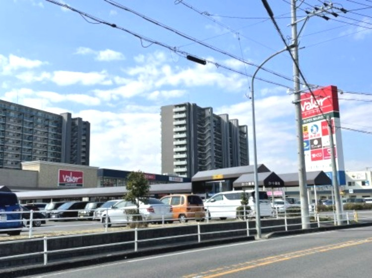 の画像