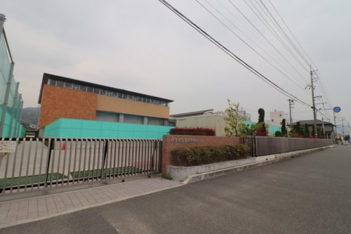 の画像