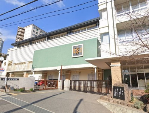 の画像