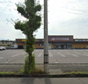 クスリのアオキ 中里店